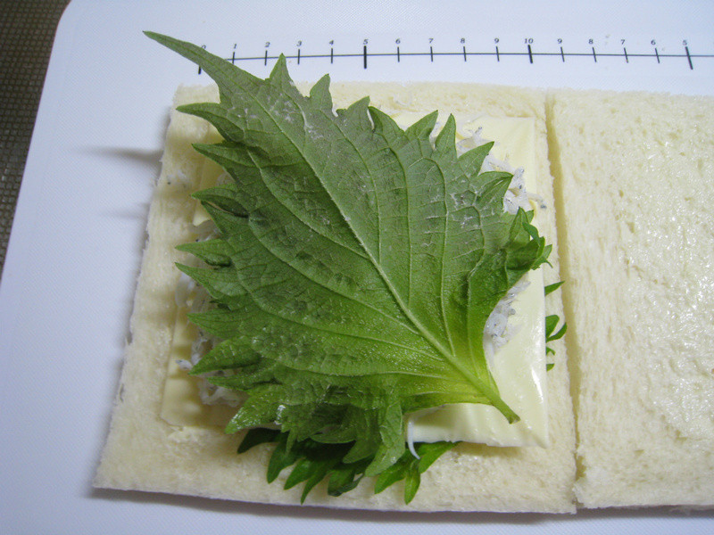 ��Take a bread�����������Ρ������͡���˾�����������ε�����