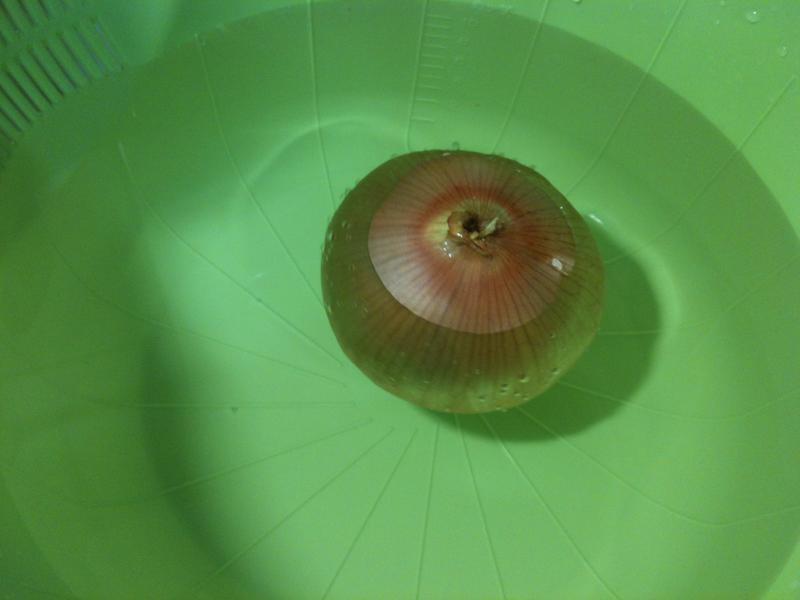 �㹽������С���ӣ�ƽ�׹��棩����ʢ��ϲ�յ�����