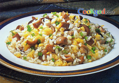 ���Ͳݹ�����������