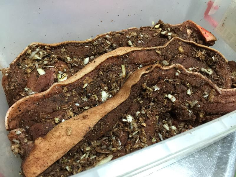 �ͼҡ����������⡿������