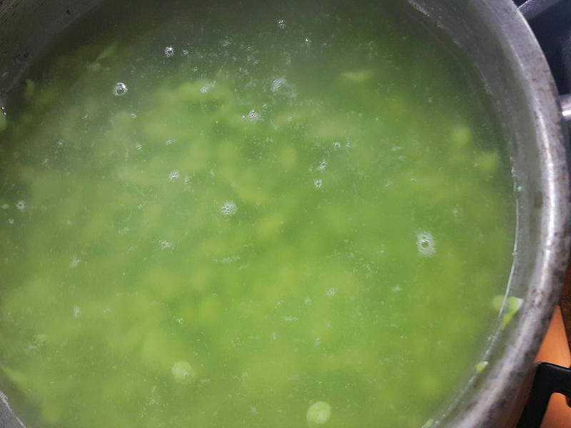 ���γ�ţ������������