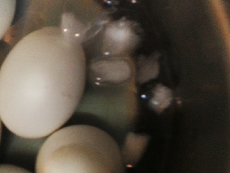 ������ĵ�������