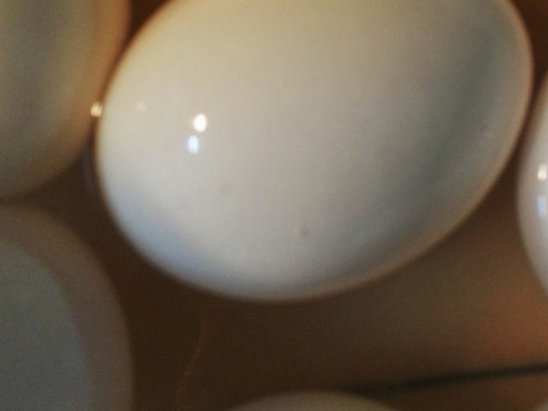 ������ĵ�������