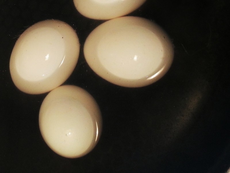 ������ĵ�������