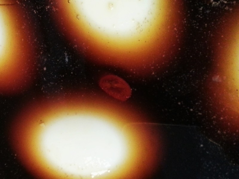 ������ĵ�������