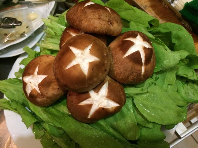 ů��������¯������