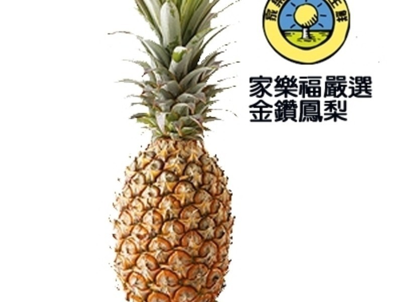 �����ļ���ɳ��������