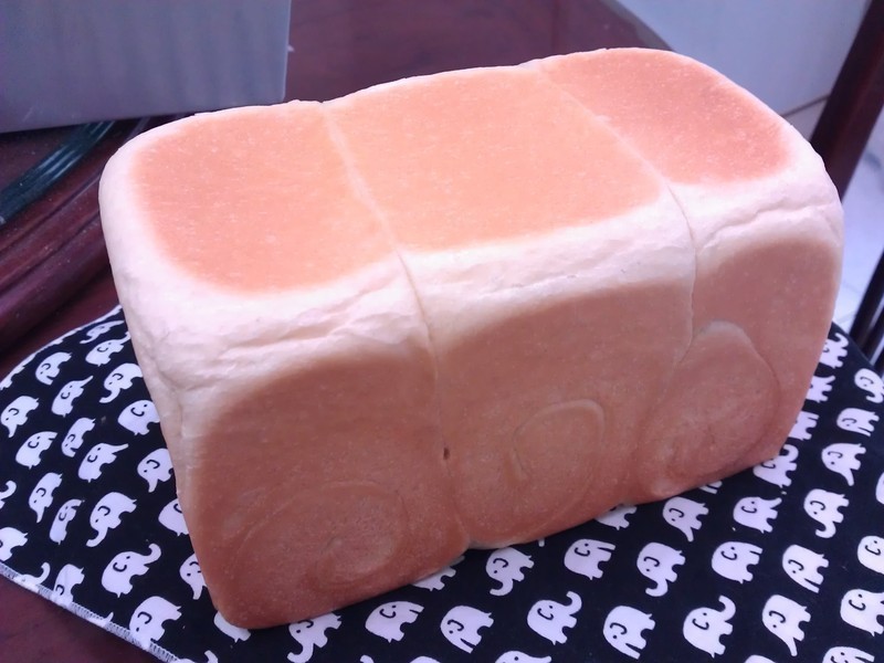 ������˾������