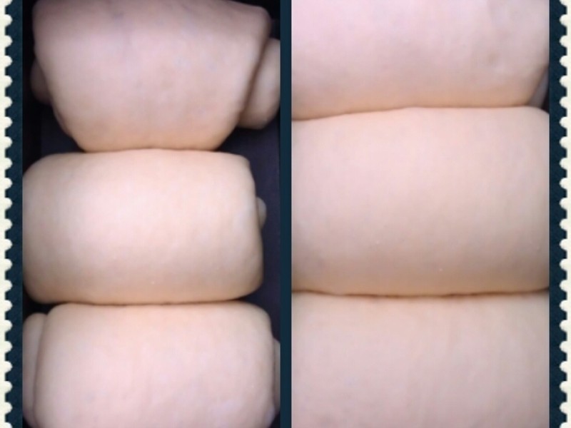 ������˾������