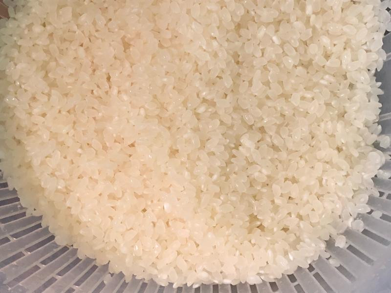 ��֥�����׷�������