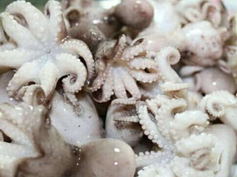 ���������Ź���������