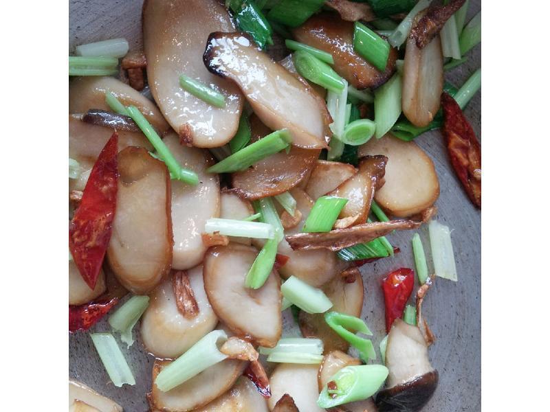 �����ӱ���������