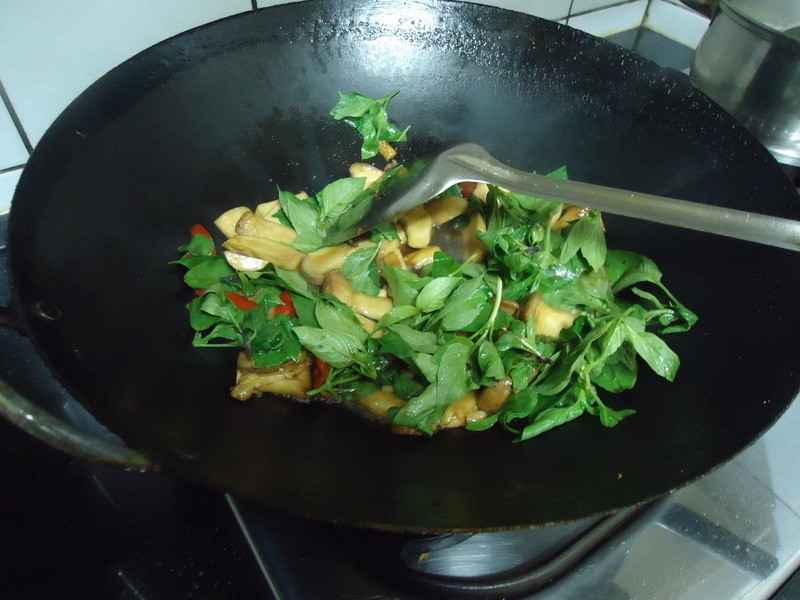 �����Ӱ���������