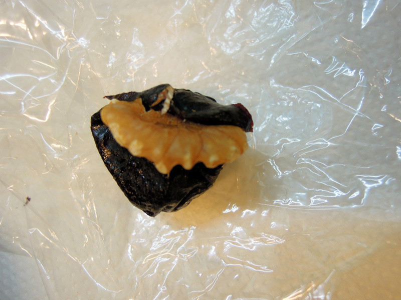 [����] ����С��--������ɵ�����