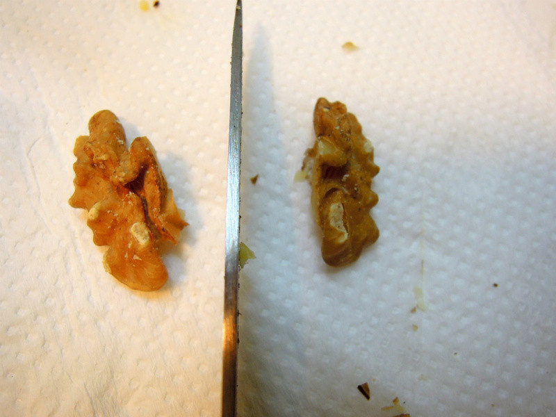 [����] ����С��--������ɵ�����