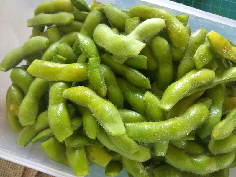 ����������ë��������