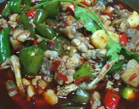 �����Ｆ�ȵ�����