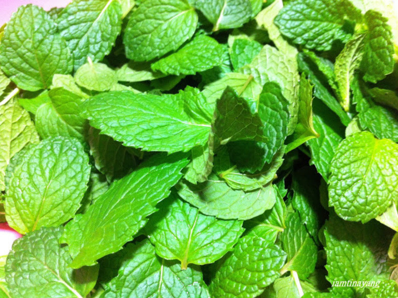 ���Ʊ��ɽ�������