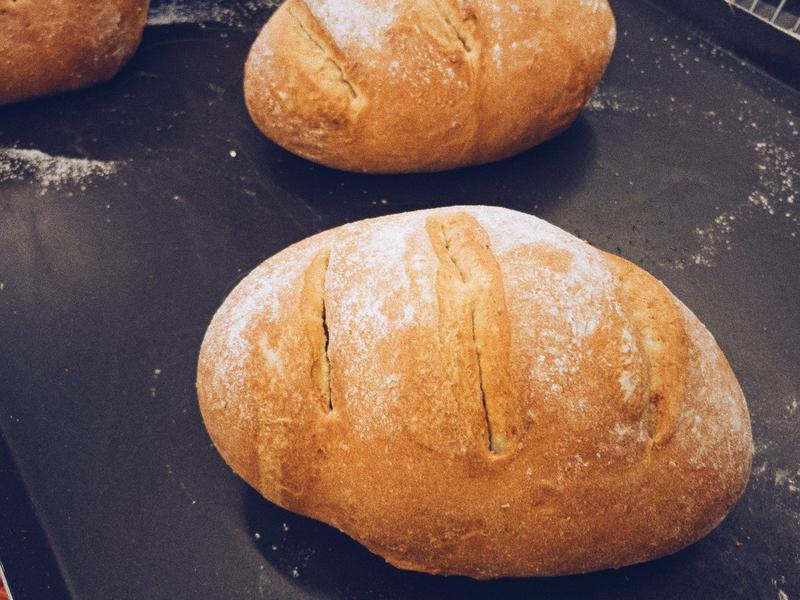 ����ţ�̹�ʿ���������