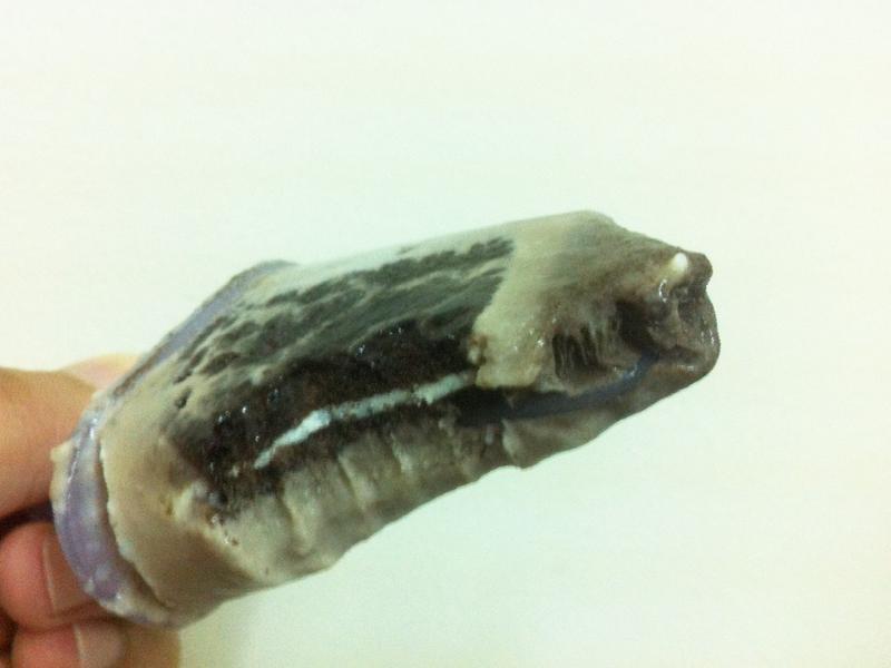 ��Oreoţ�̱�������/�ó�/���������