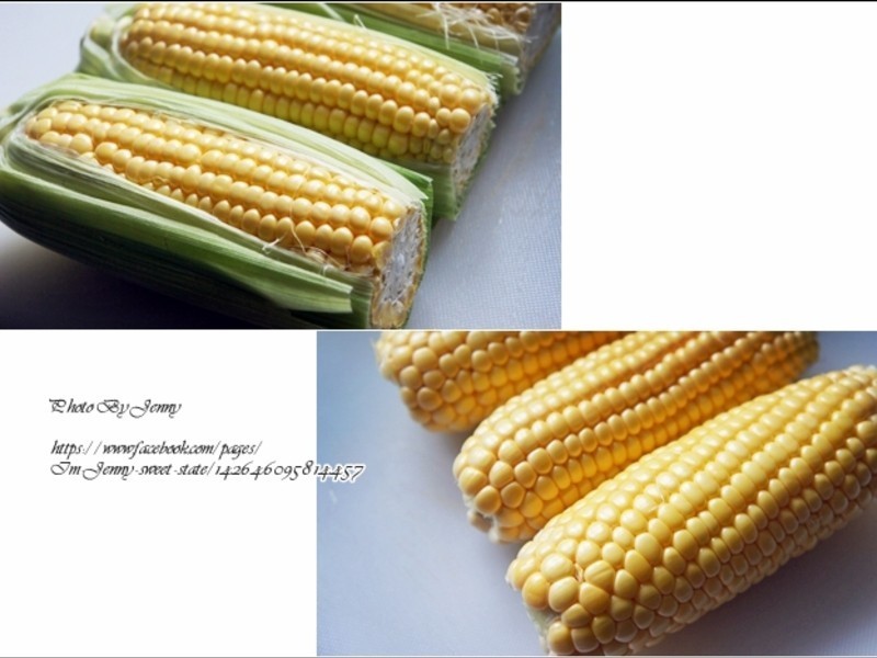 ɳ�����㿾���׵�����