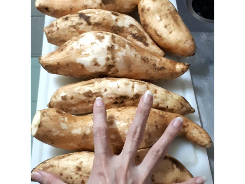 �䶳��ެ��������