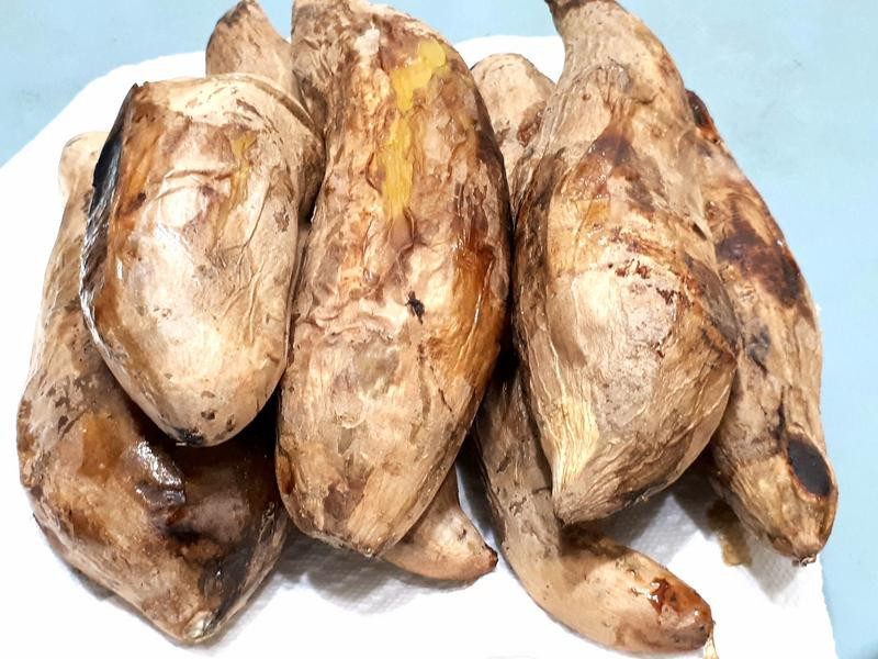 �䶳��ެ��������