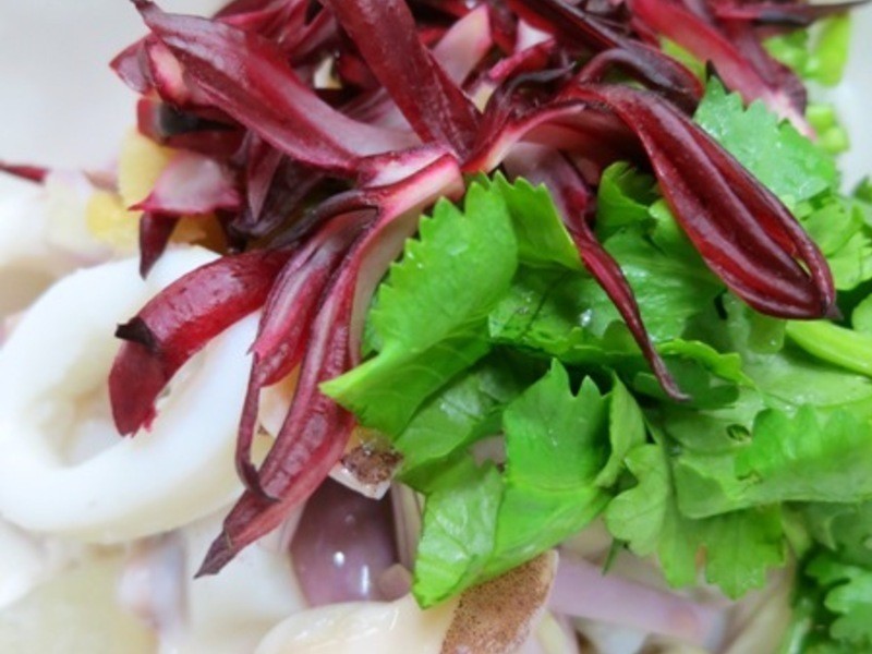 ������̩ʽ���������