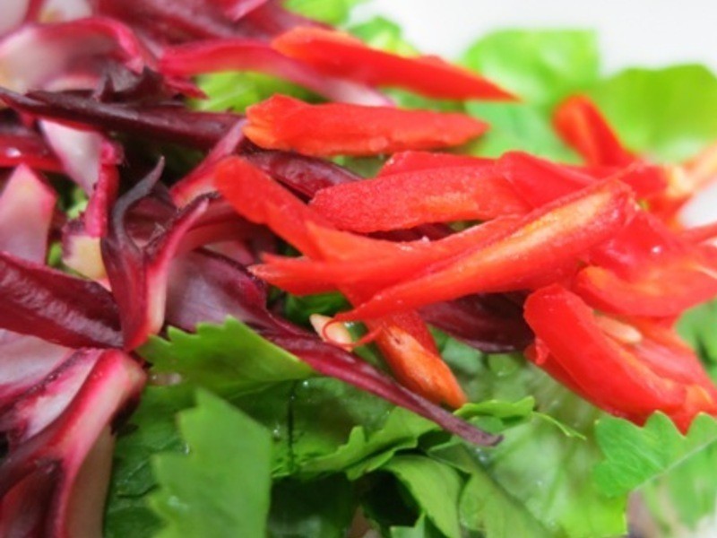 ������̩ʽ���������