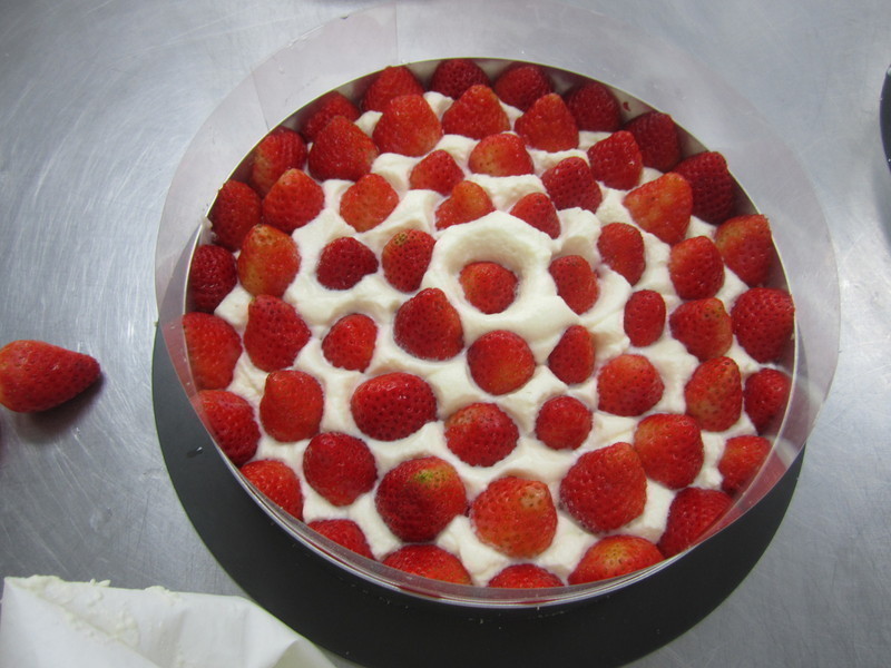 ��ڷ��������ݮ���ɿ������������