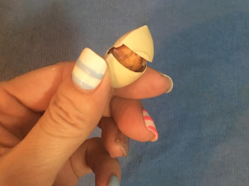 �Οh�׹�������