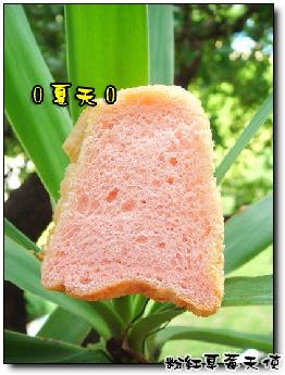 �ۺ��ݮ��ʹ������