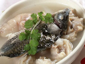 ��������צ������