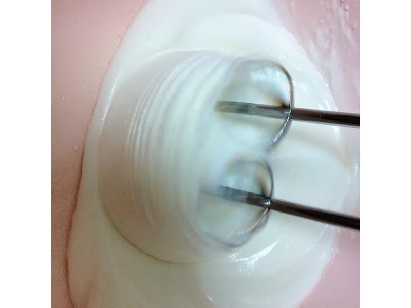 ������˪������