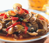 �����㳴��ӵ�����