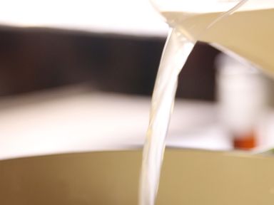 ���㶬���ѵ�����