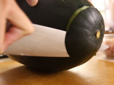 ���㶬���ѵ�����