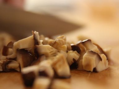 ���㶬���ѵ�����