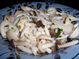 ֥���Ӿ�������