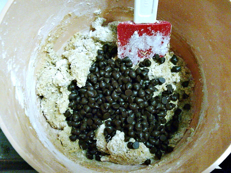 ��Cooking?�ɿ��������ɵ�����