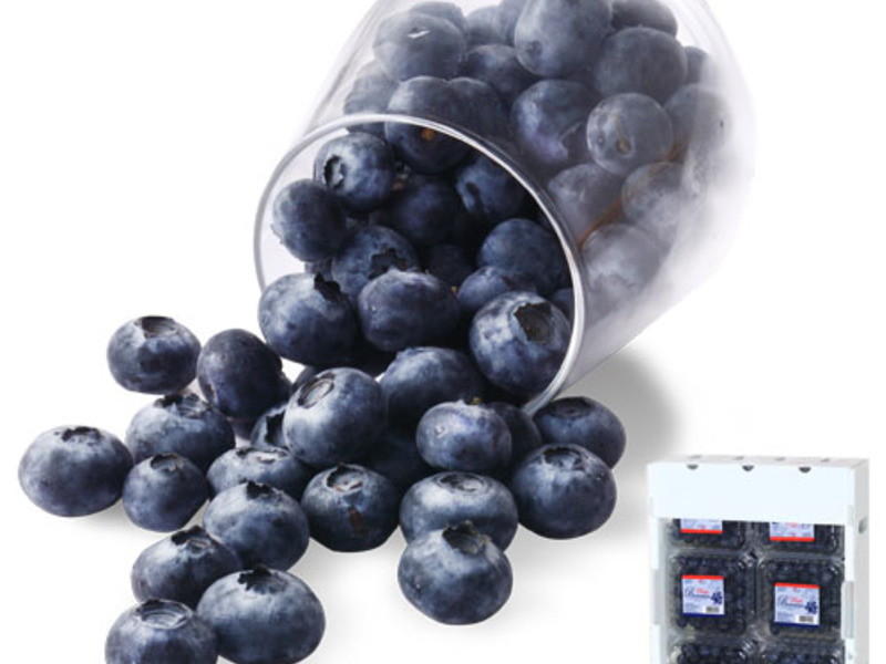 ��ݮ����DIY������