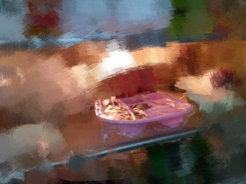 �����ɿ���������