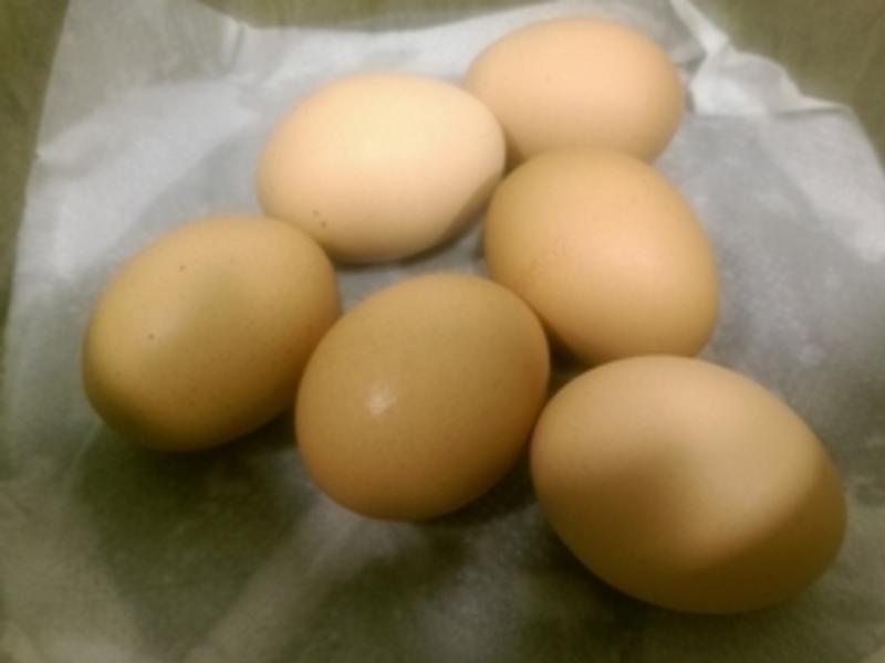 ˮ�� [�����]������ֻ�����ų���ֽ��������