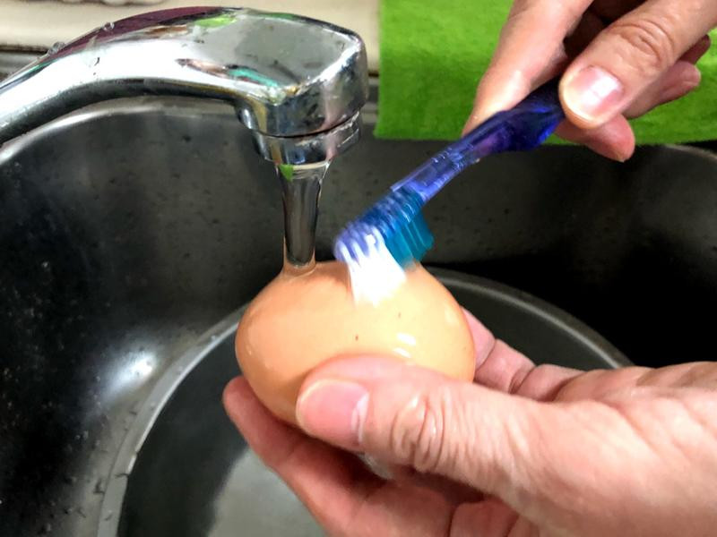 �����Ҷ��������