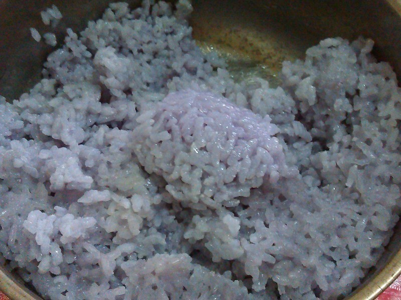 �ڷҵ�С����-���׿����ŵ�����