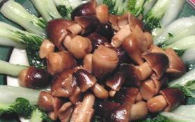 �ݹ����ĵ�����