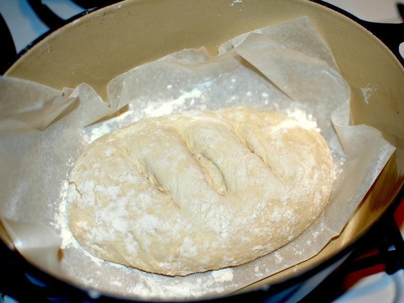 �����������Ƥ�������(������������)������