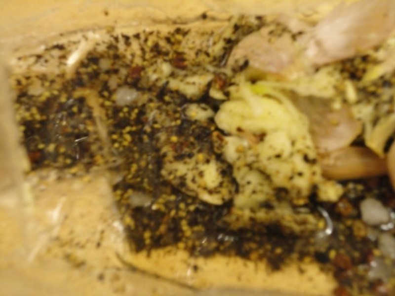 ����������-���Ƹ��������������