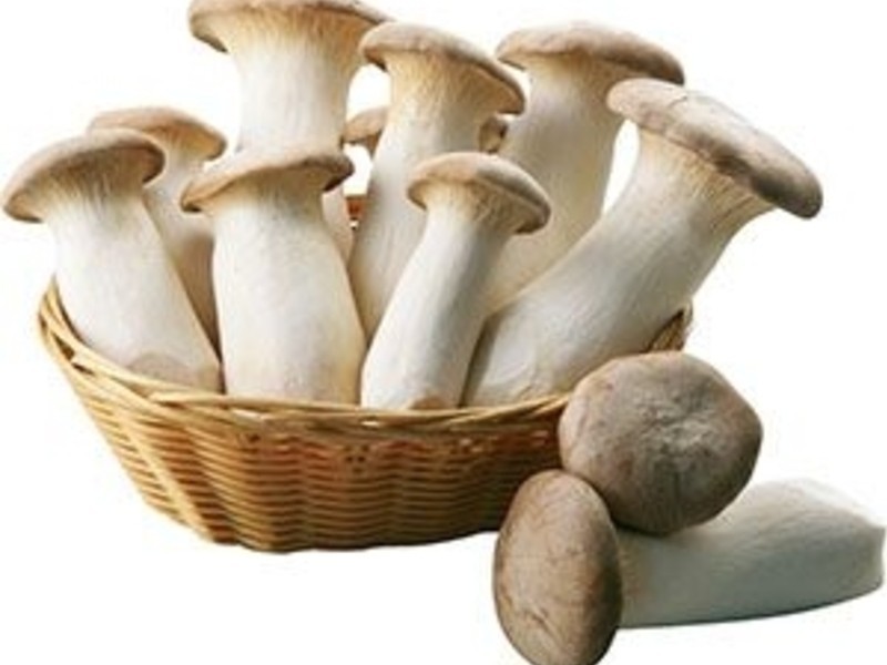 ���ͼ��ӱ���������