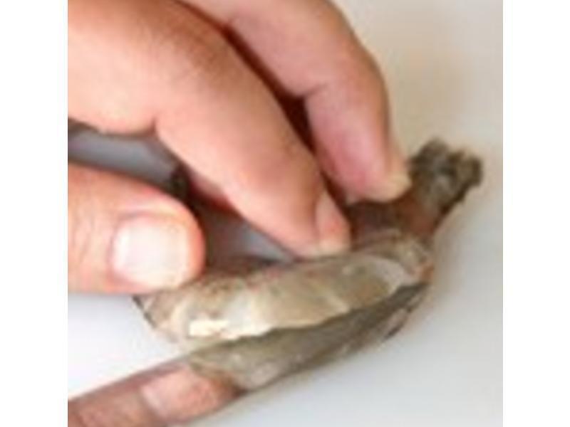 ����������Ϻ������